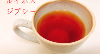 ルイボスティーを飲みはじめた｜まずはお試しジプシーで自分にあったものを選ぶべき